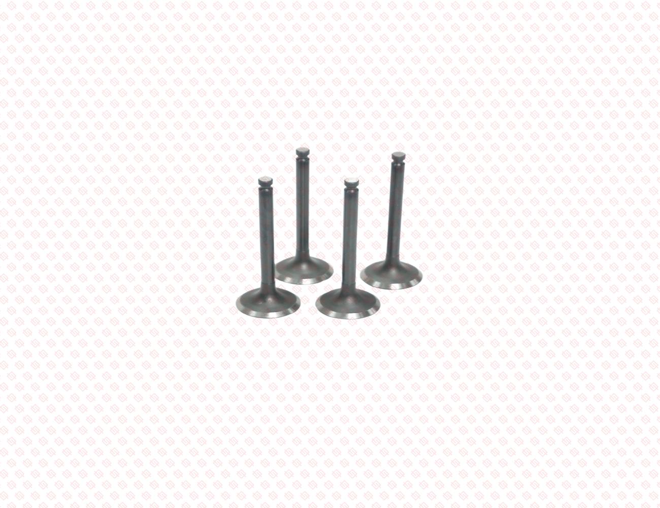 105225-11100-SS-2