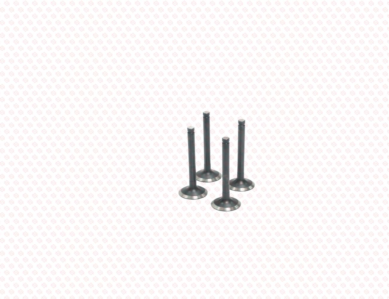 119515-11110-SS-1