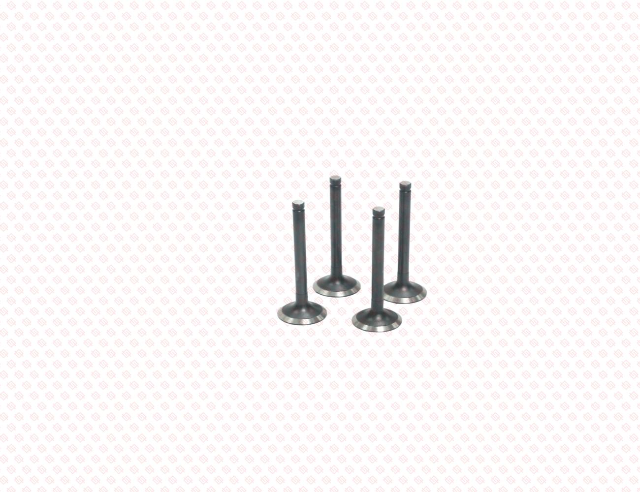 119515-11110-SS-2