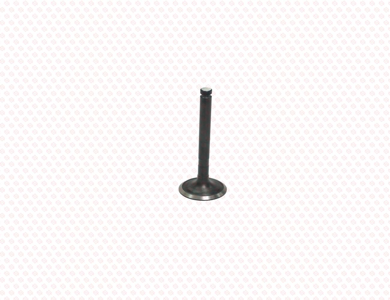 119593-11110-SS-1