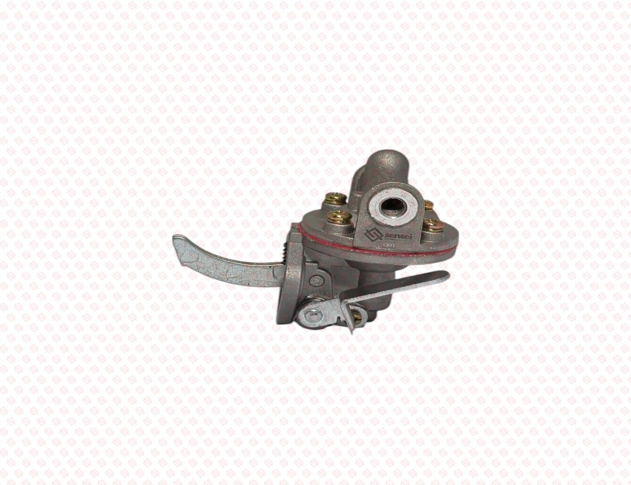 119600-52021-SS-1