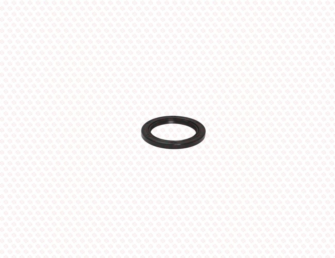 119620-01800-SS-1