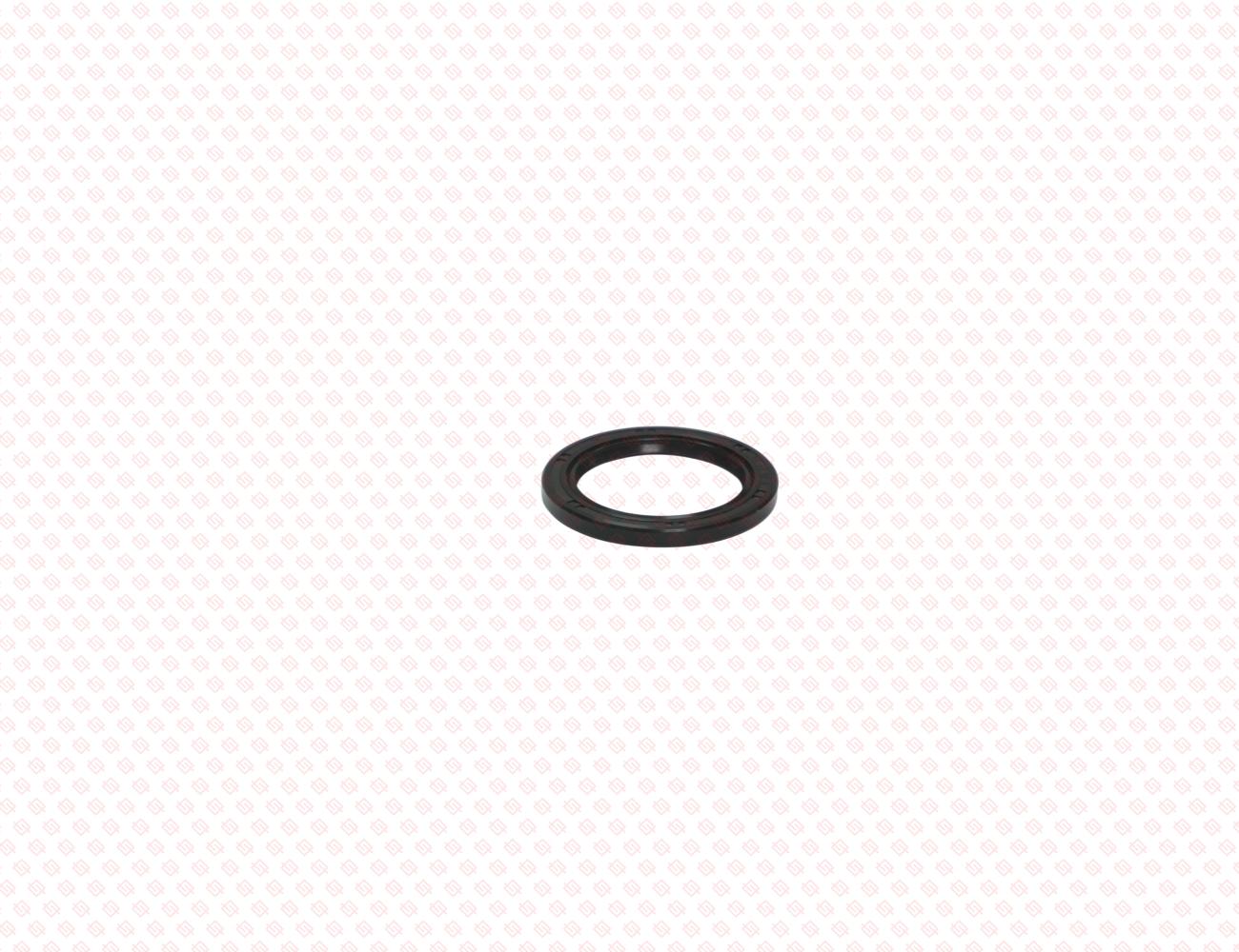 119620-01800-SS-2