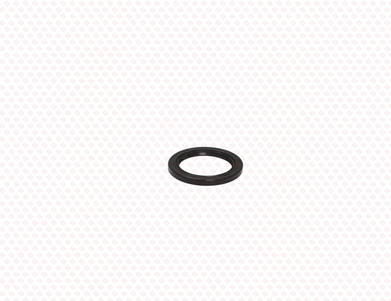 119717-01800-SS-1