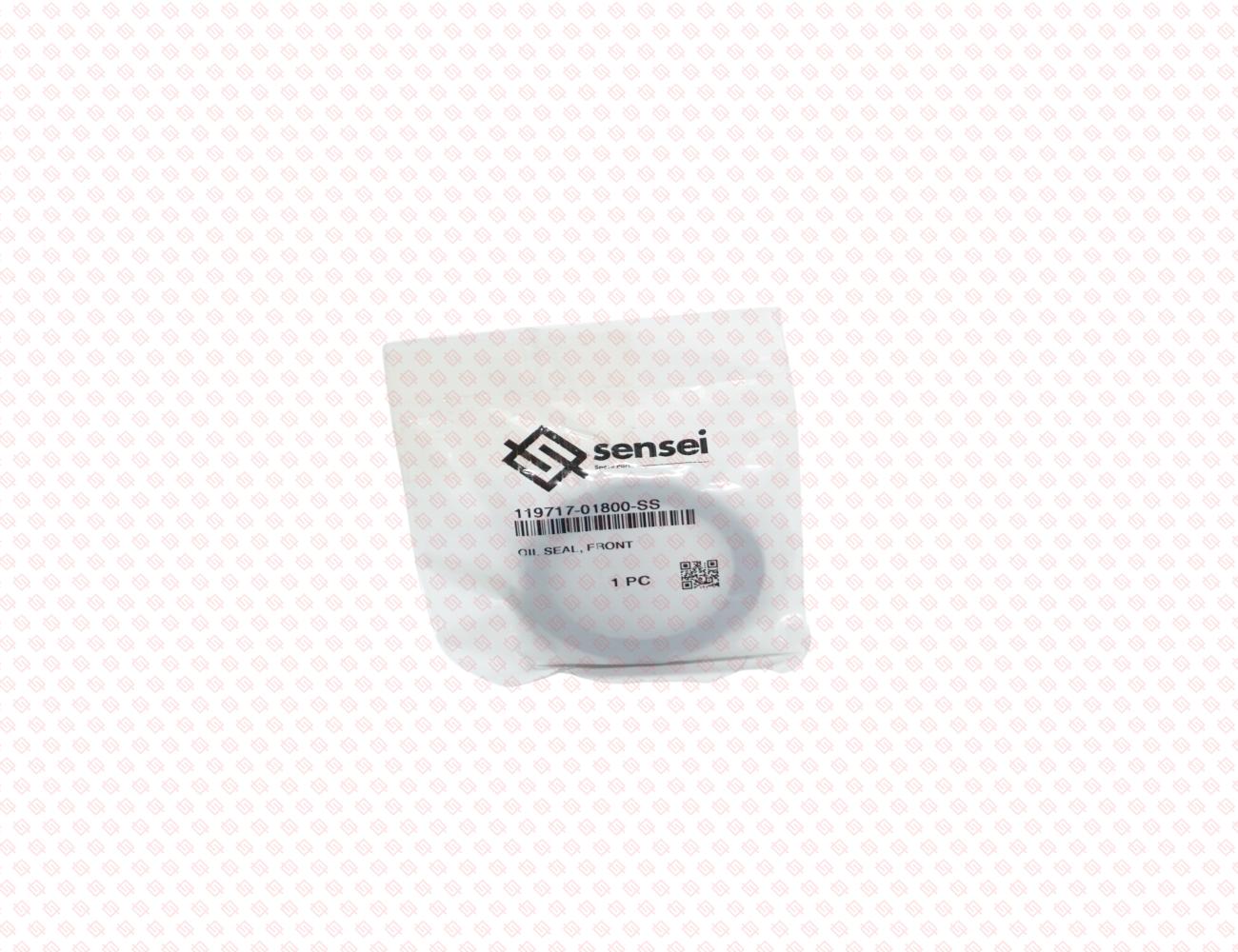 119717-01800-SS-3