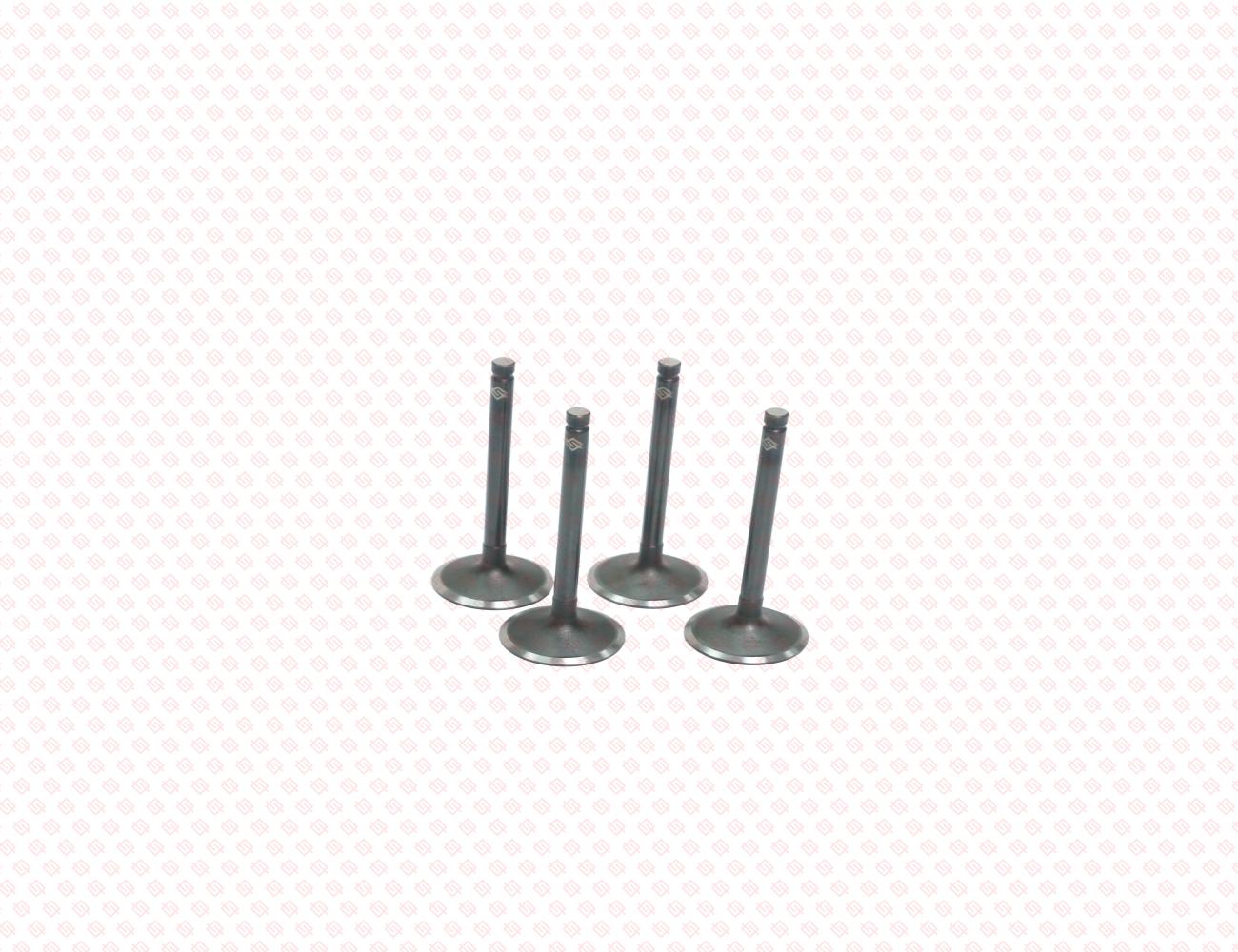 119717-11101-SS-1