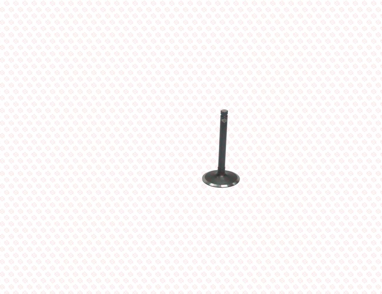 119717-11101-SS-2
