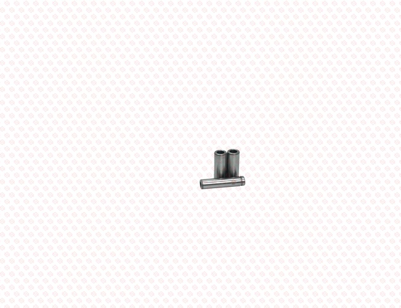 119717-11800-SS-1