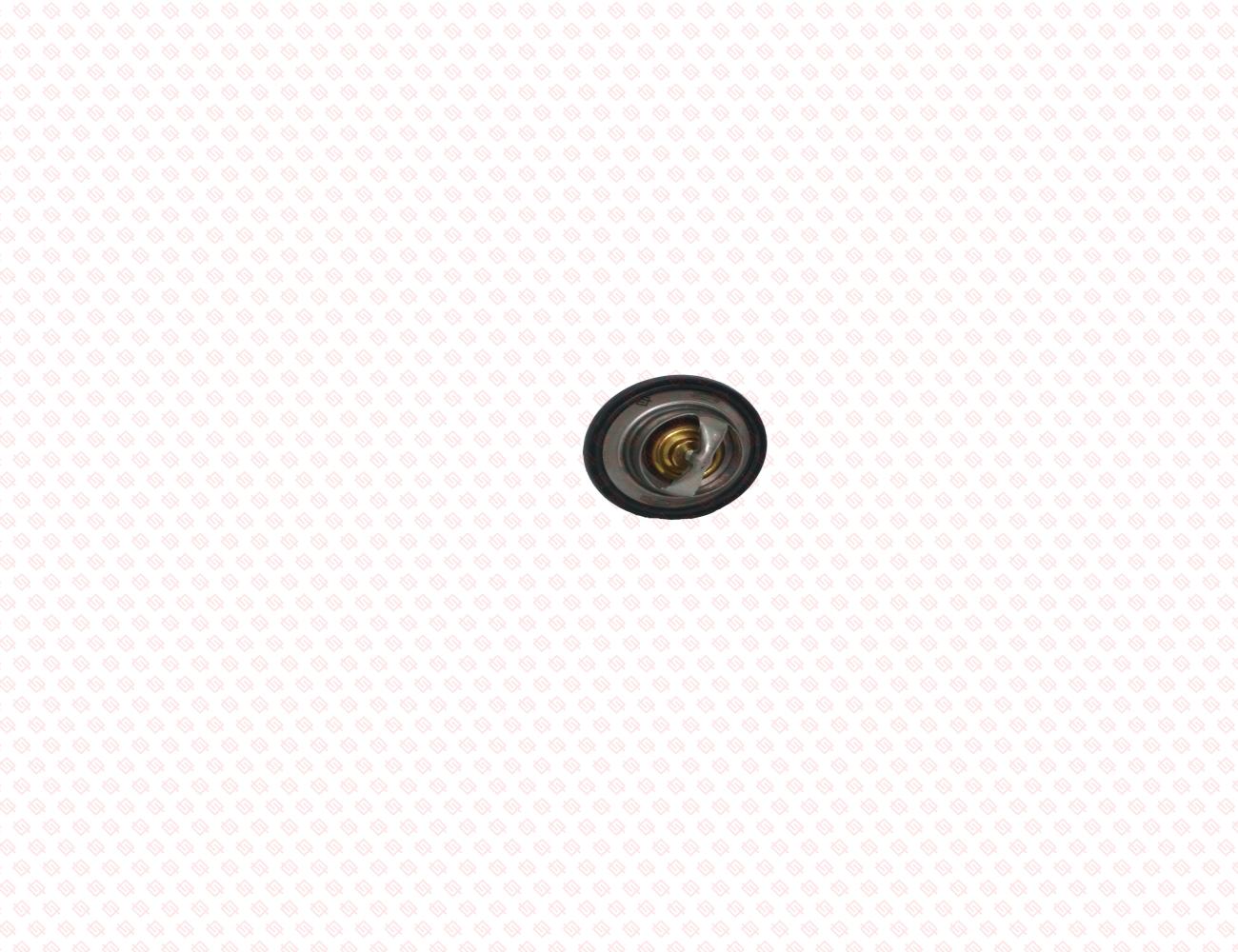 119717-49800-SS-1