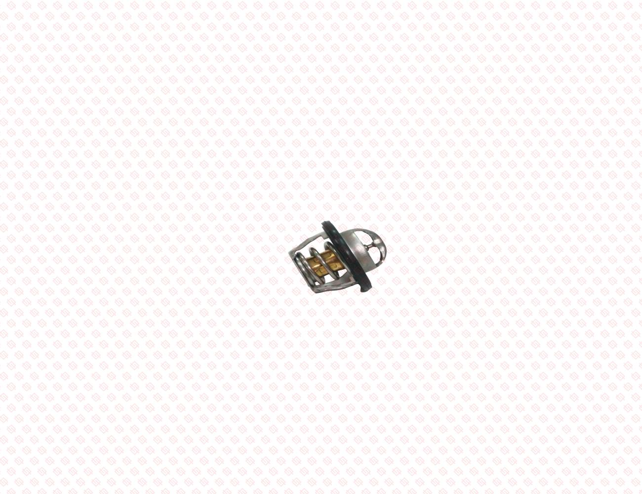 119717-49800-SS-3