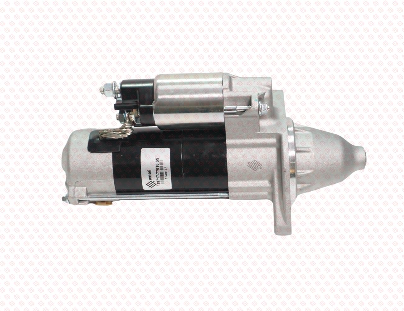 119717-77010-SS-1