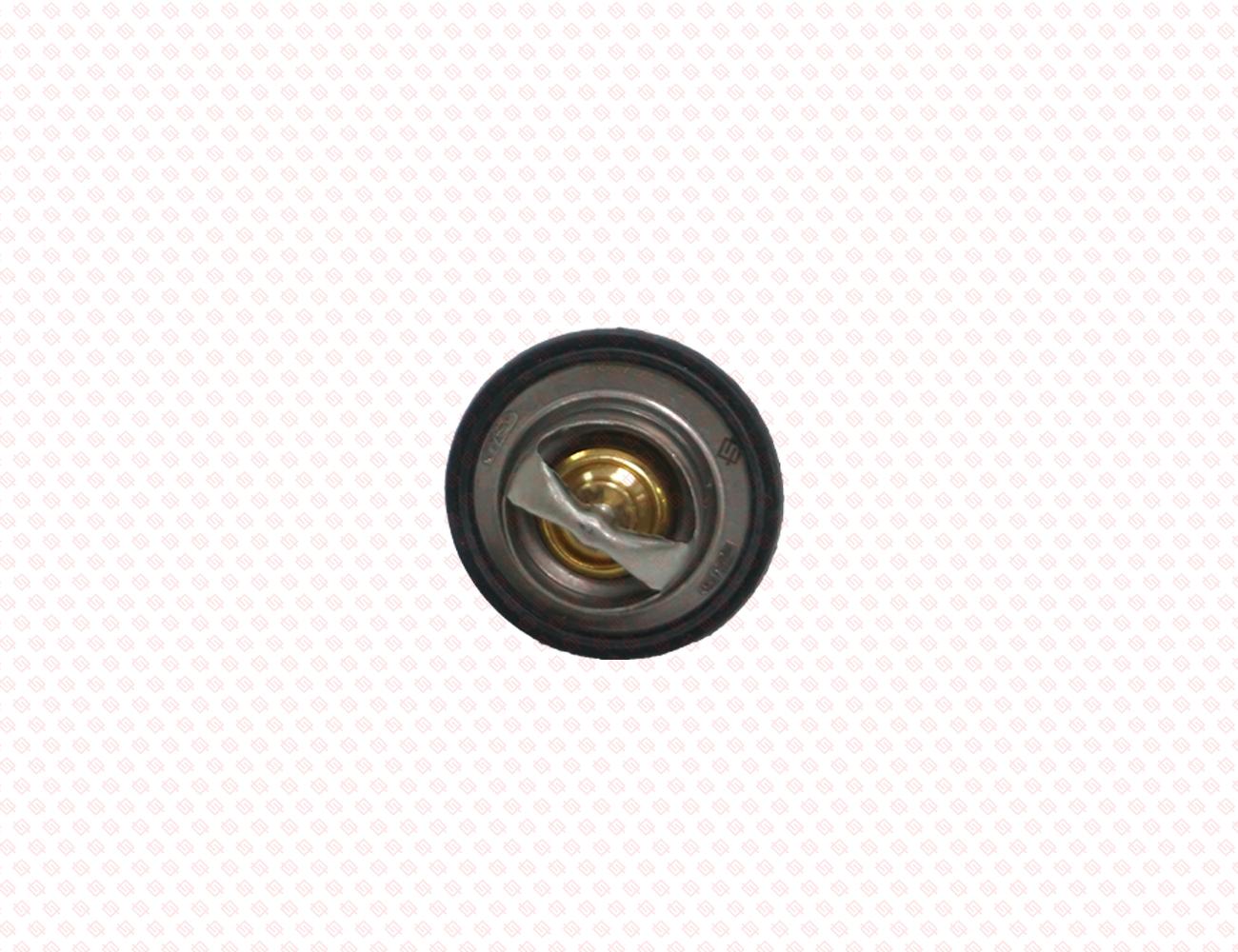 119718-49800-SS-1