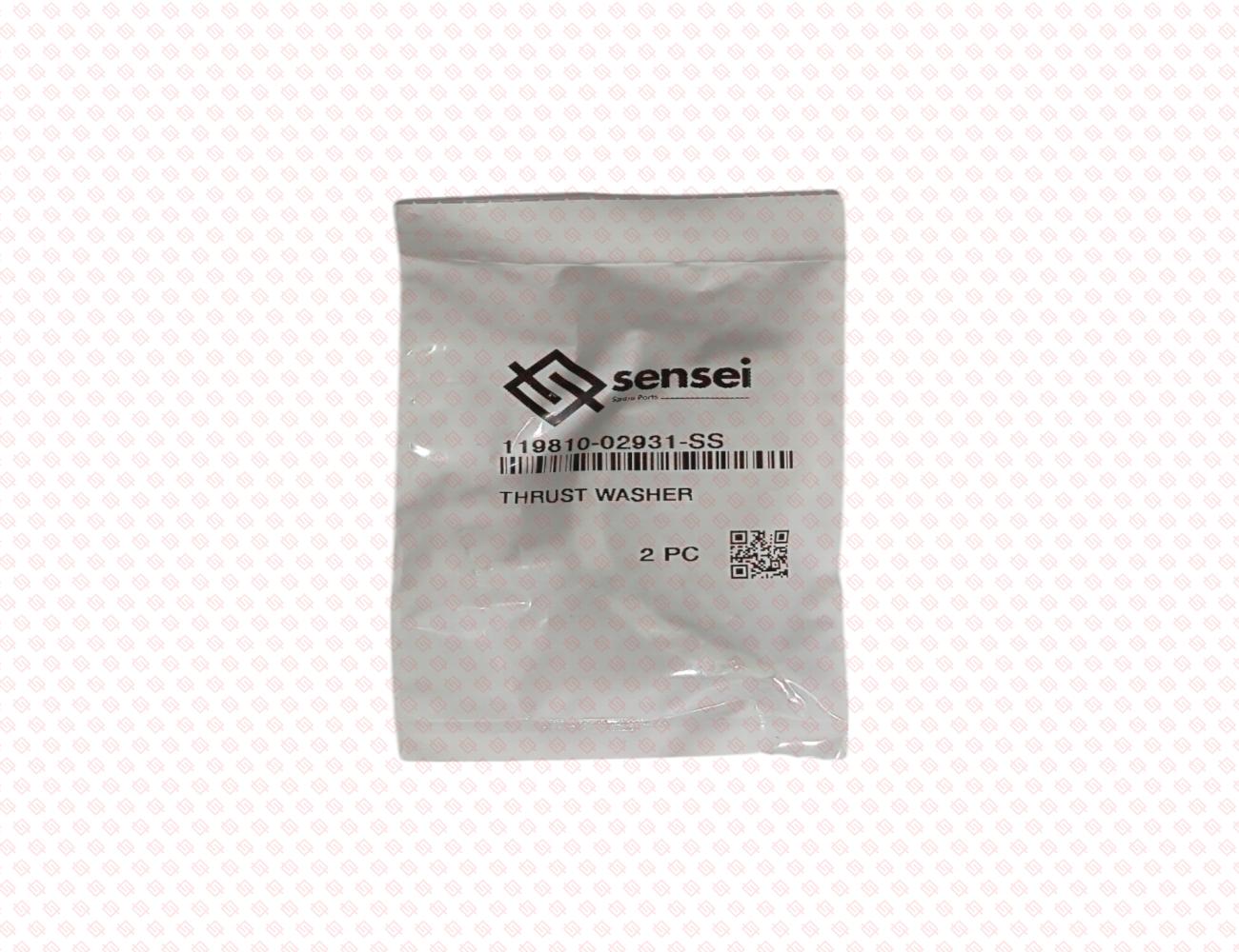 119810-02931-SS-3