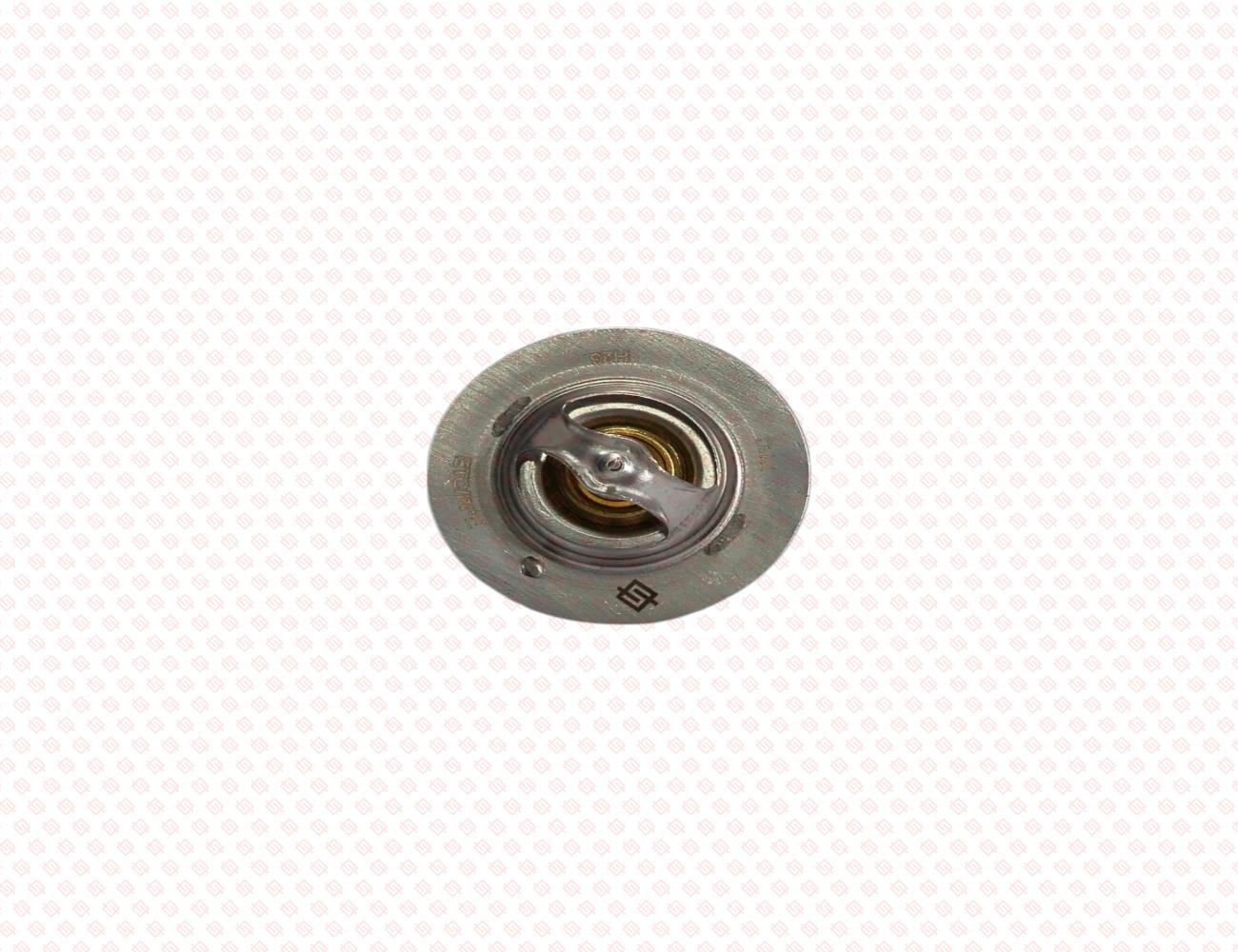 121850-49810-SS-1