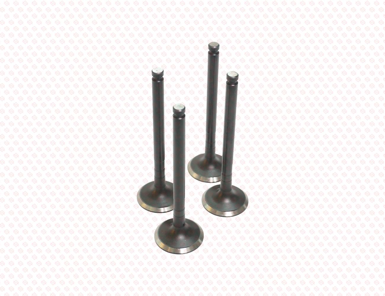 123900-11110-SS-2
