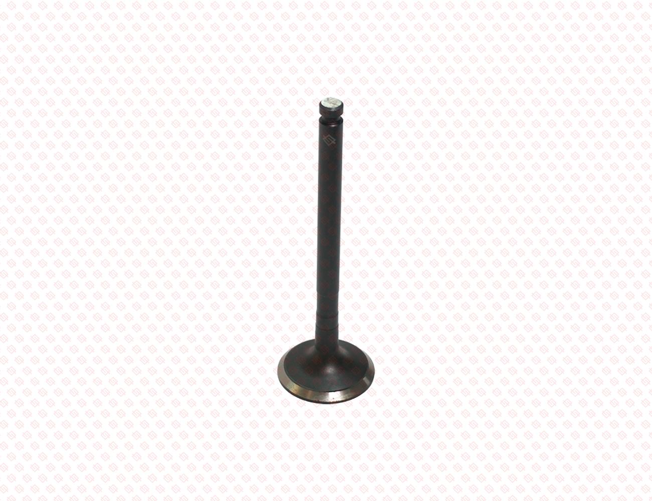 123900-11110-SS-3