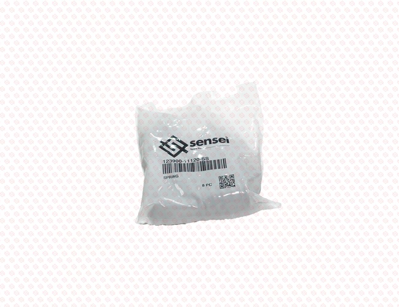 123900-11120-SS-4