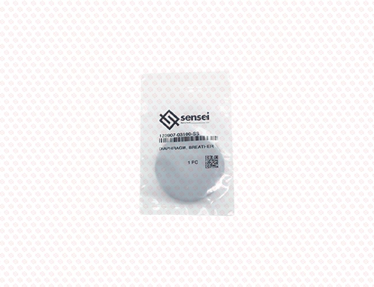 123907-03100-SS-2
