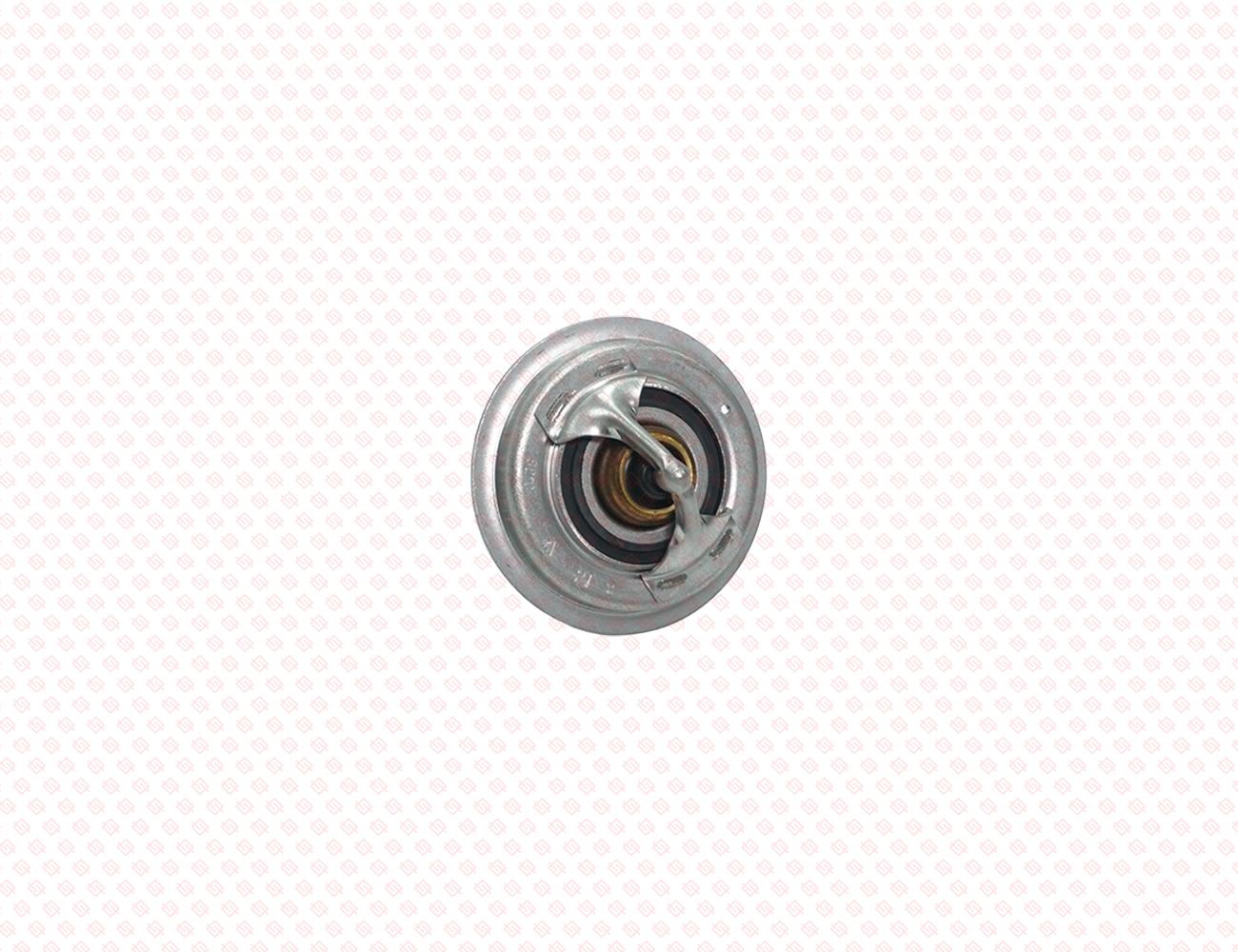 123911-48620-SS-1