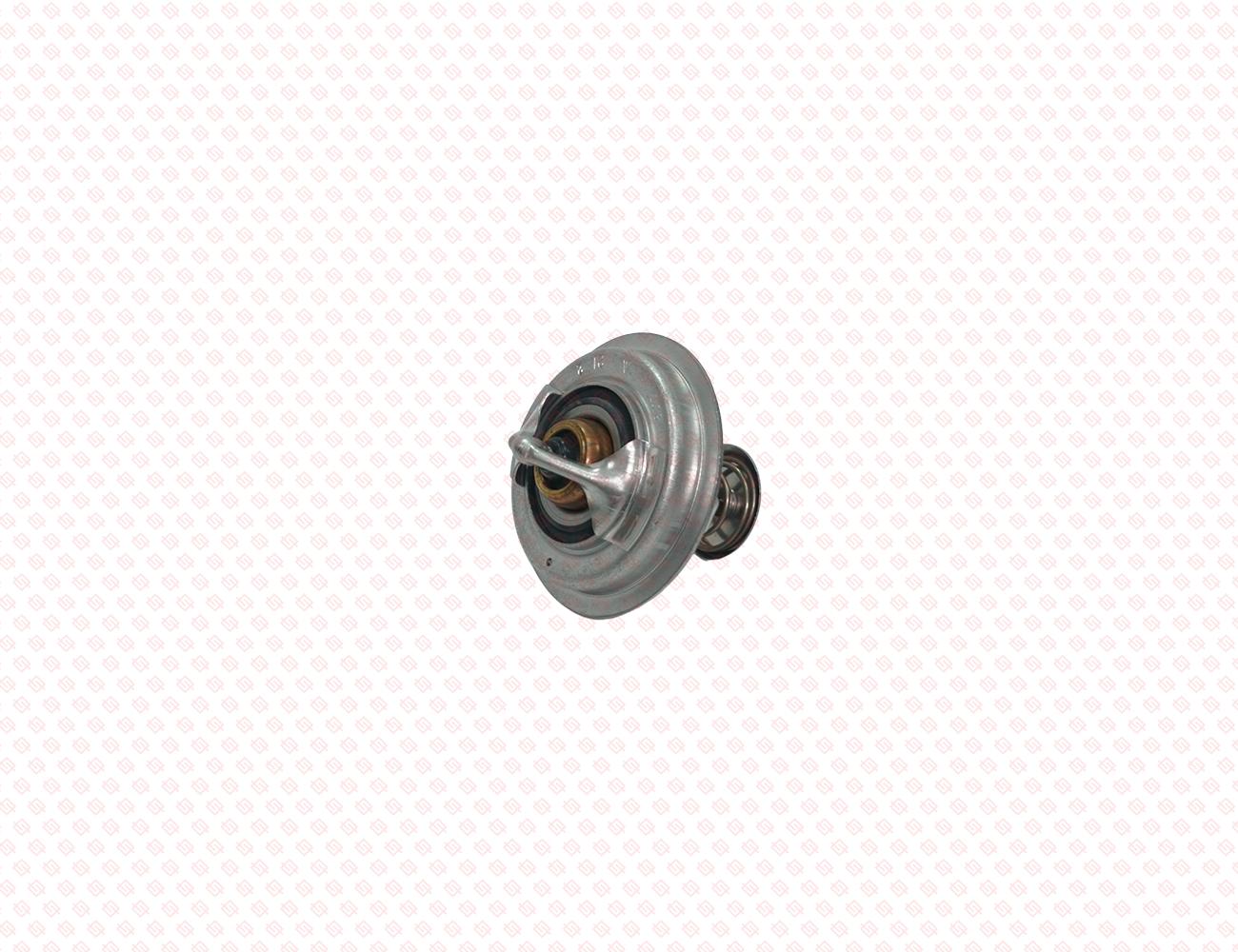 123911-48620-SS-2