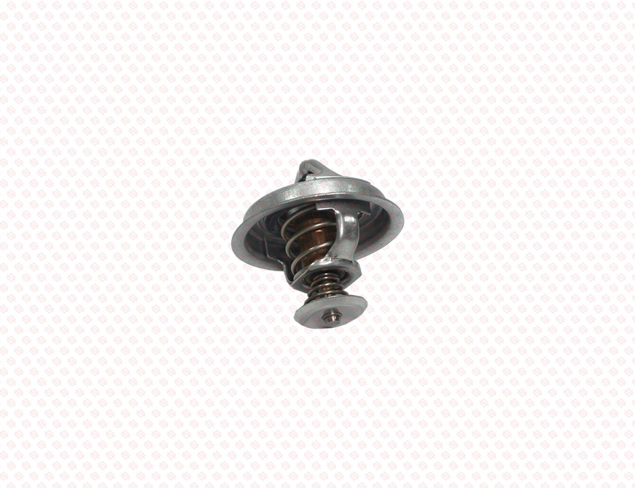 123911-48620-SS-5