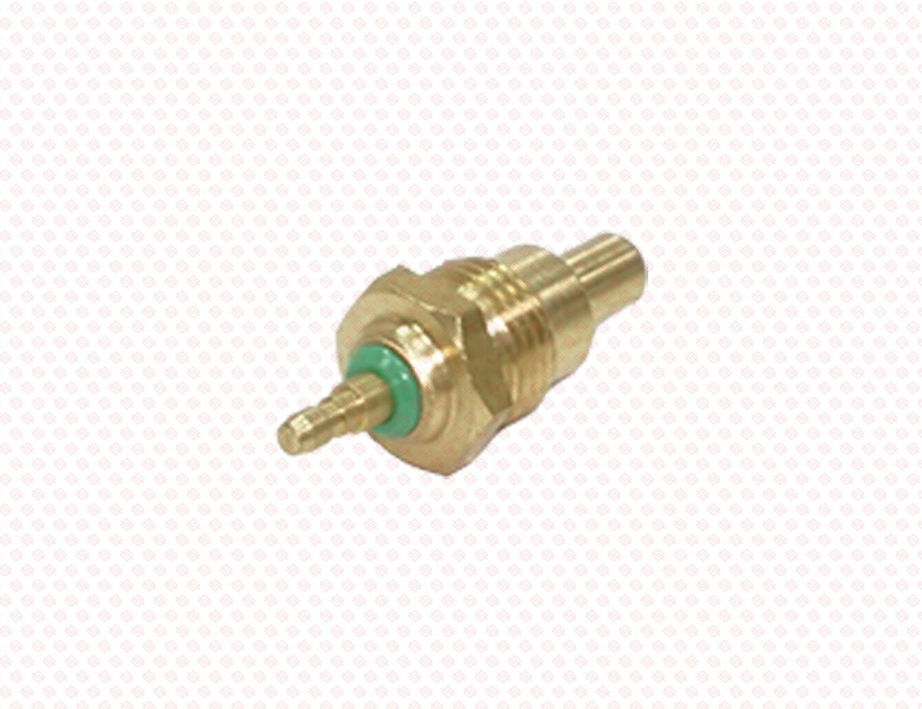 124250-49351-SS-1