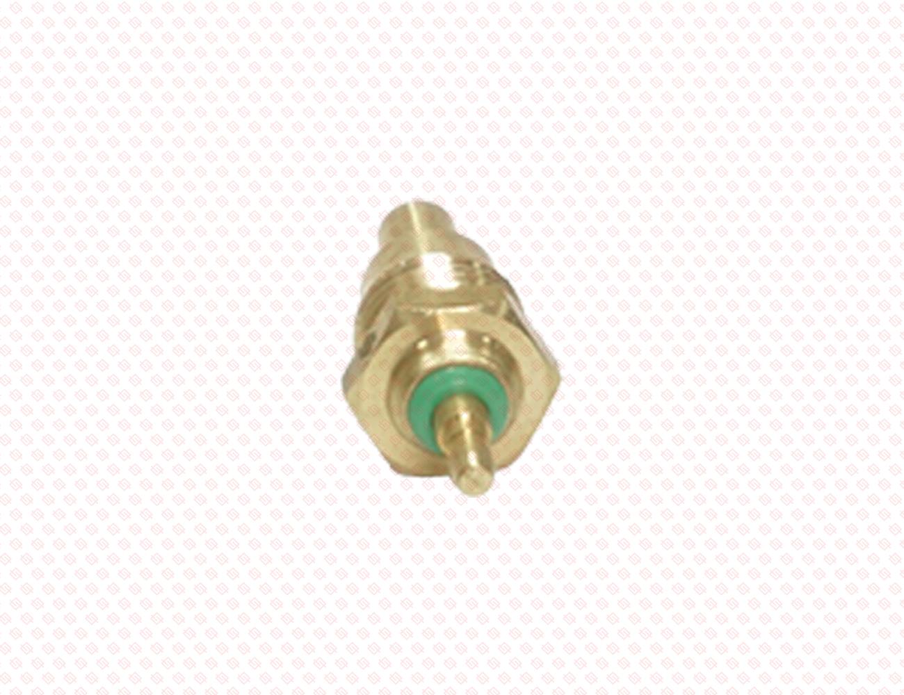 124250-49351-SS-2