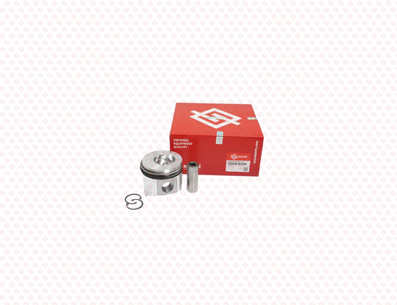 129001-22081-SS-6