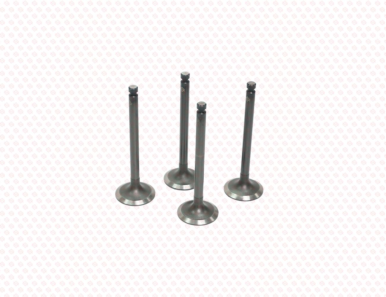 129004-11130-SS-2