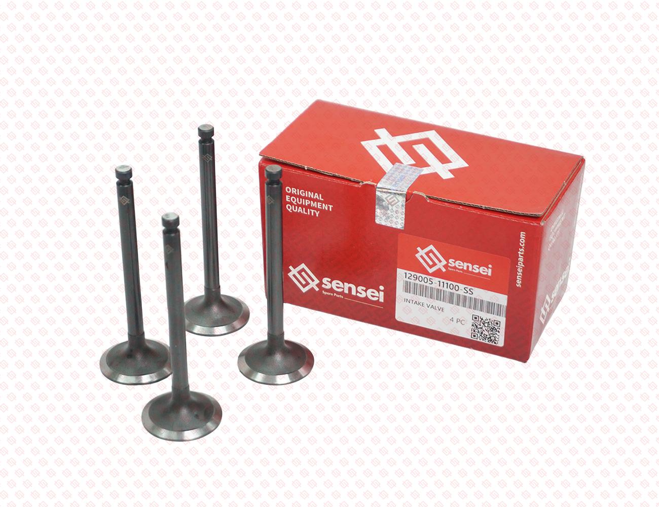 129005-11100-SS-3