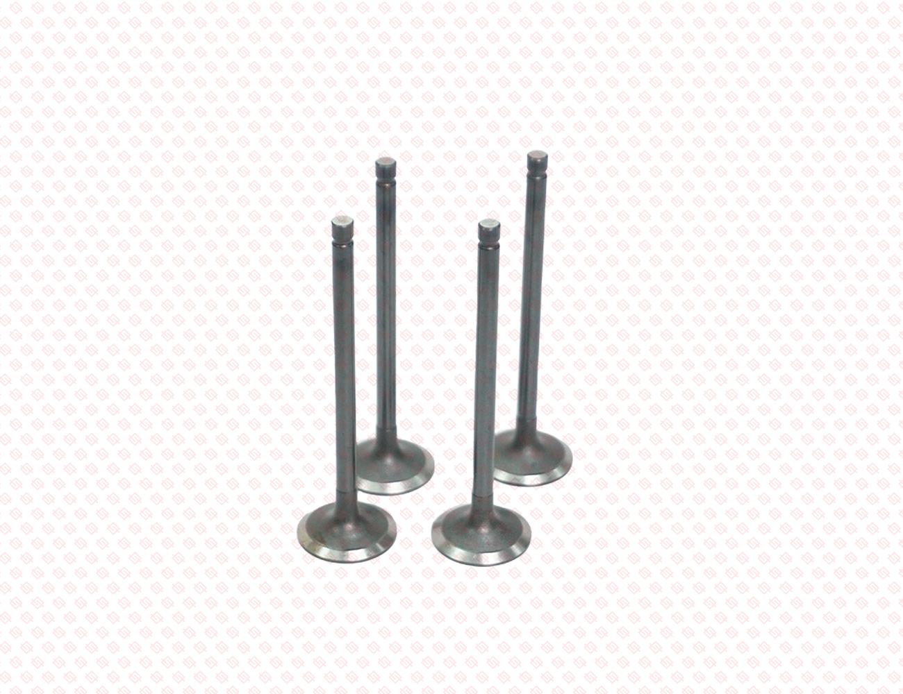 129508-11100-SS-2