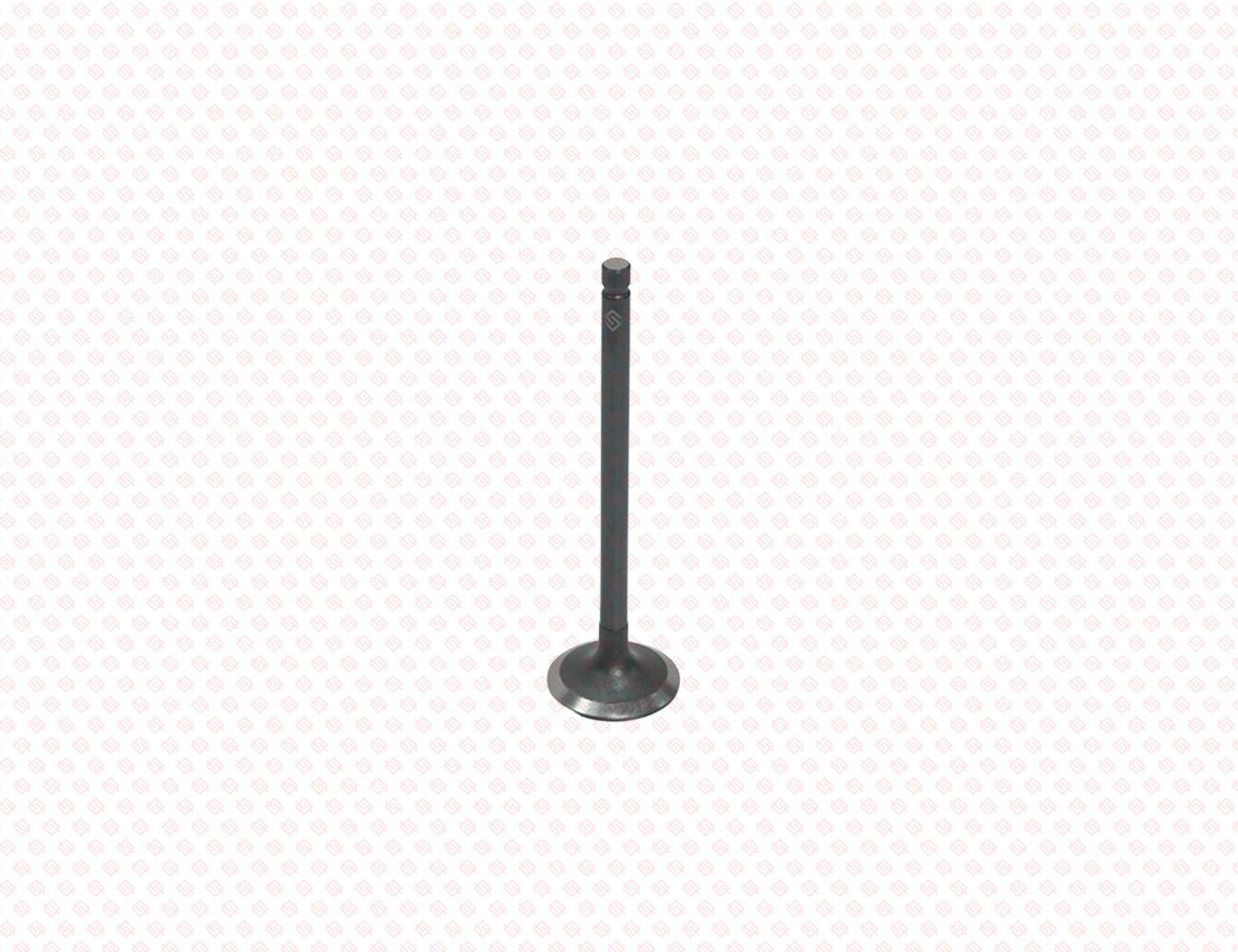 129508-11100-SS-4
