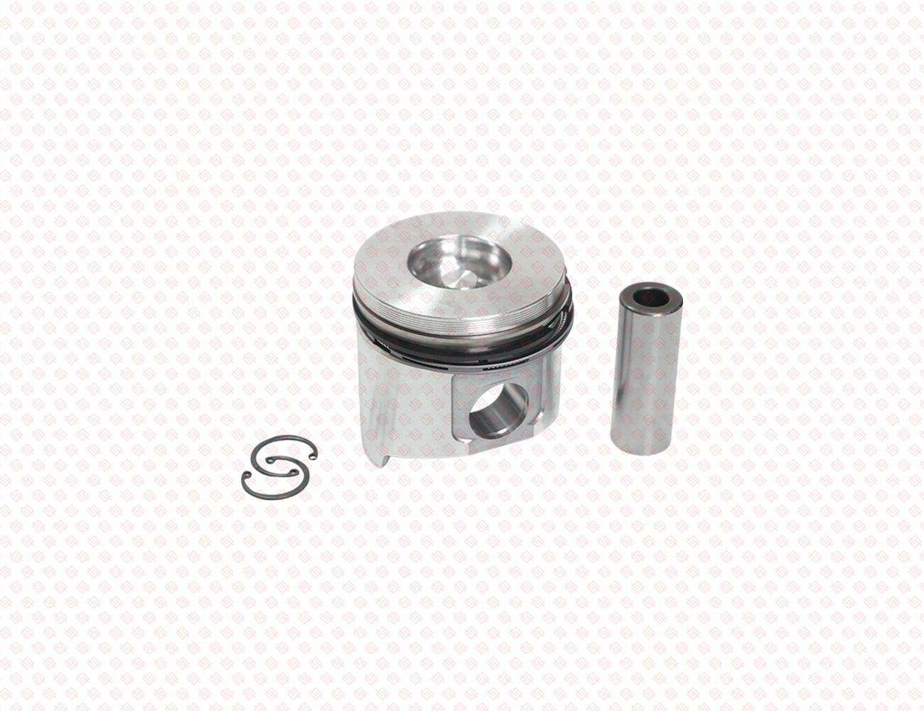 129508-22080-SS-1