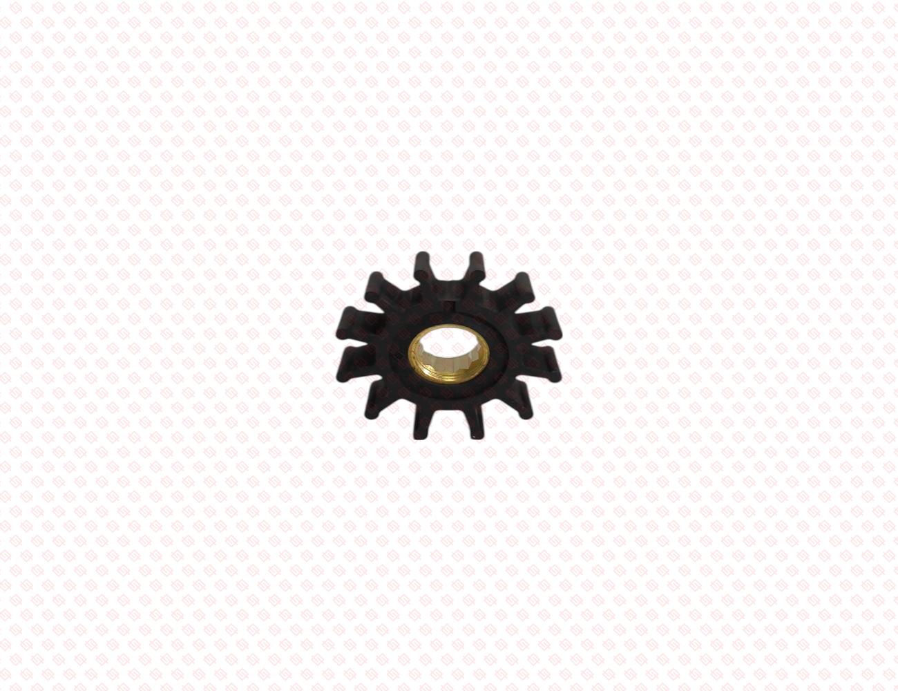 129670-42610-SS-1
