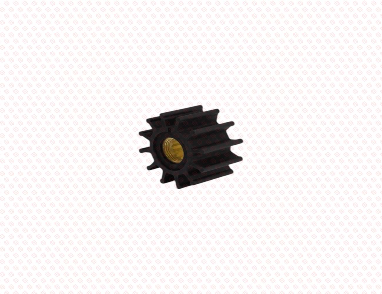 129670-42610-SS-2