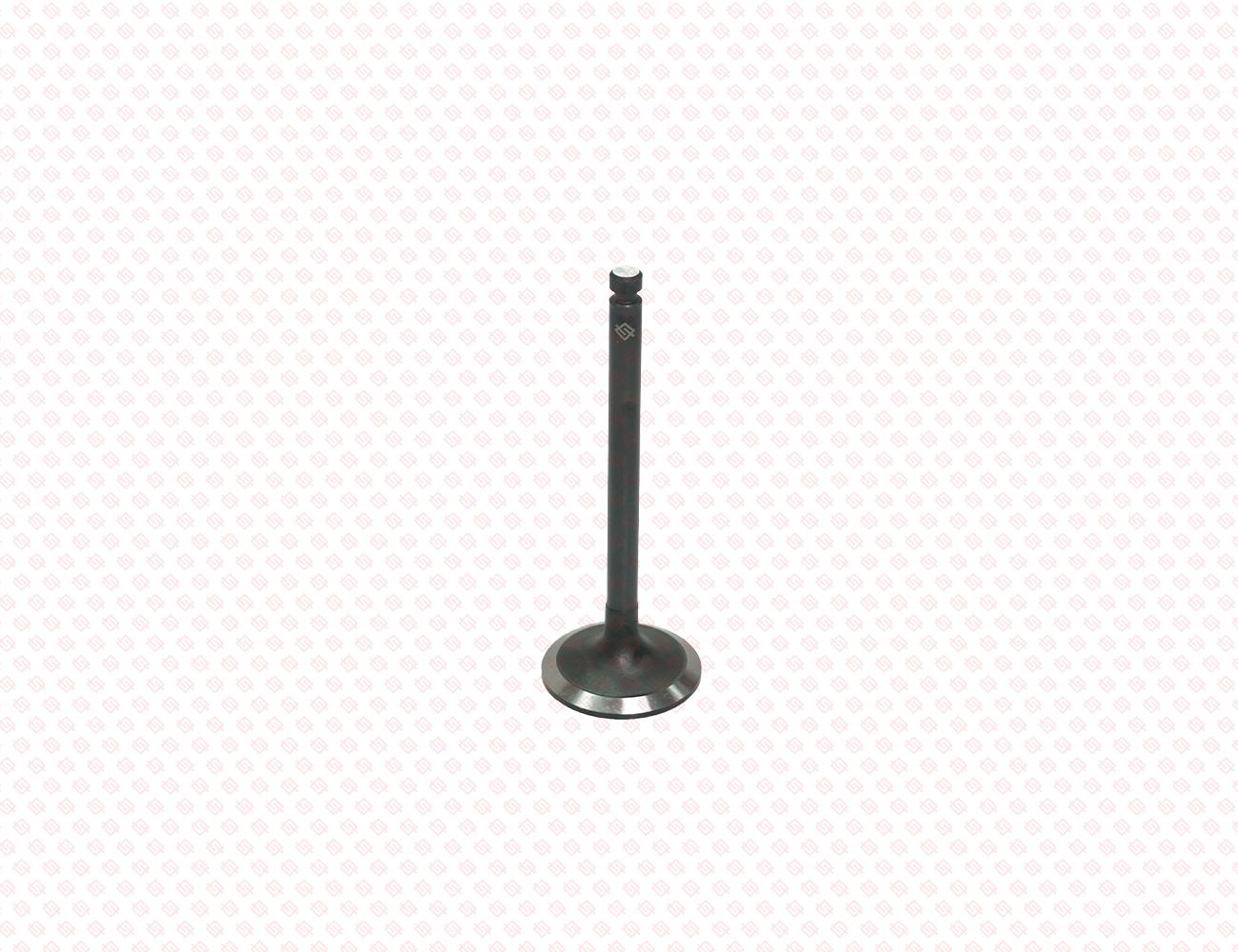 129900-11100-SS-2