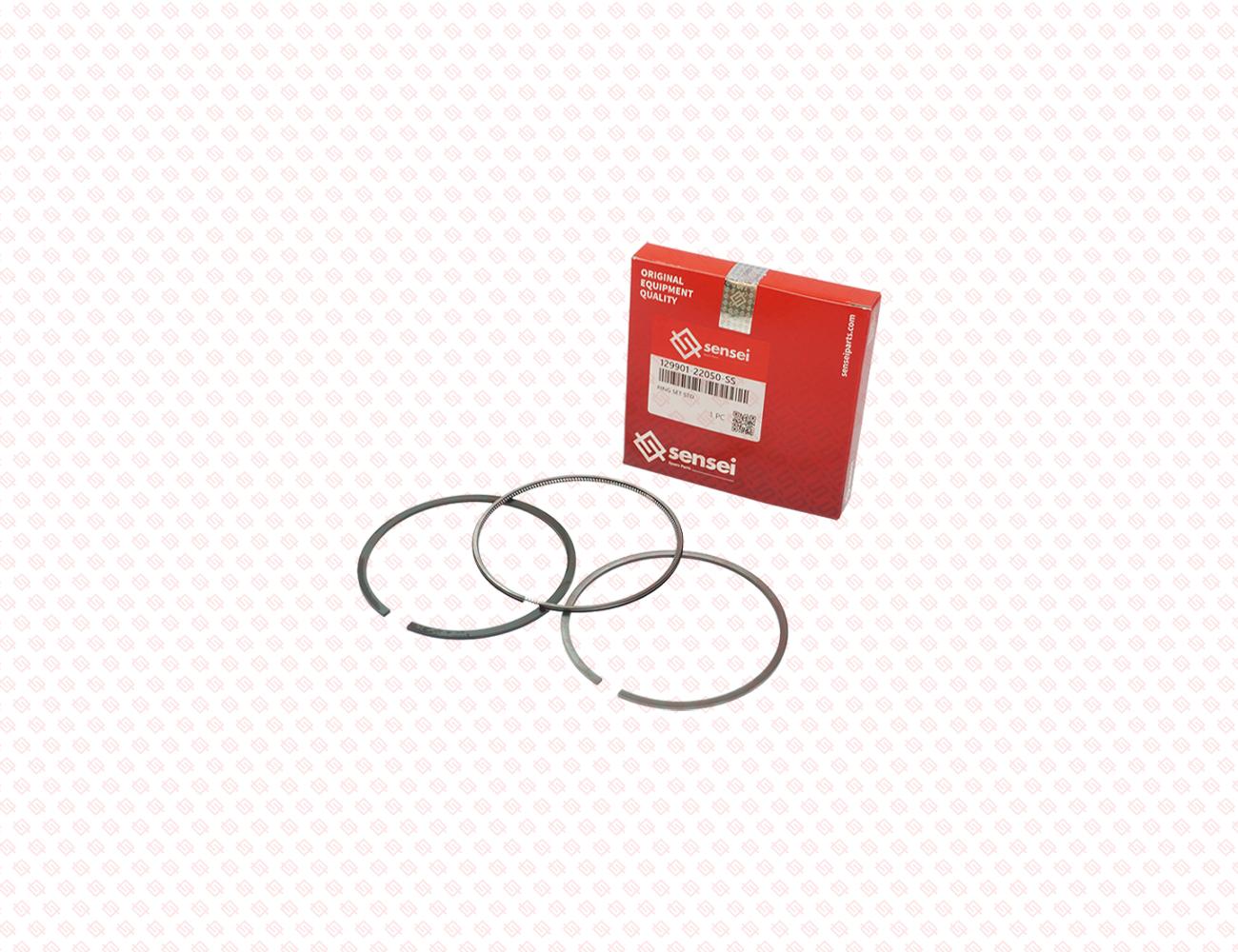 129901-22050-SS-3