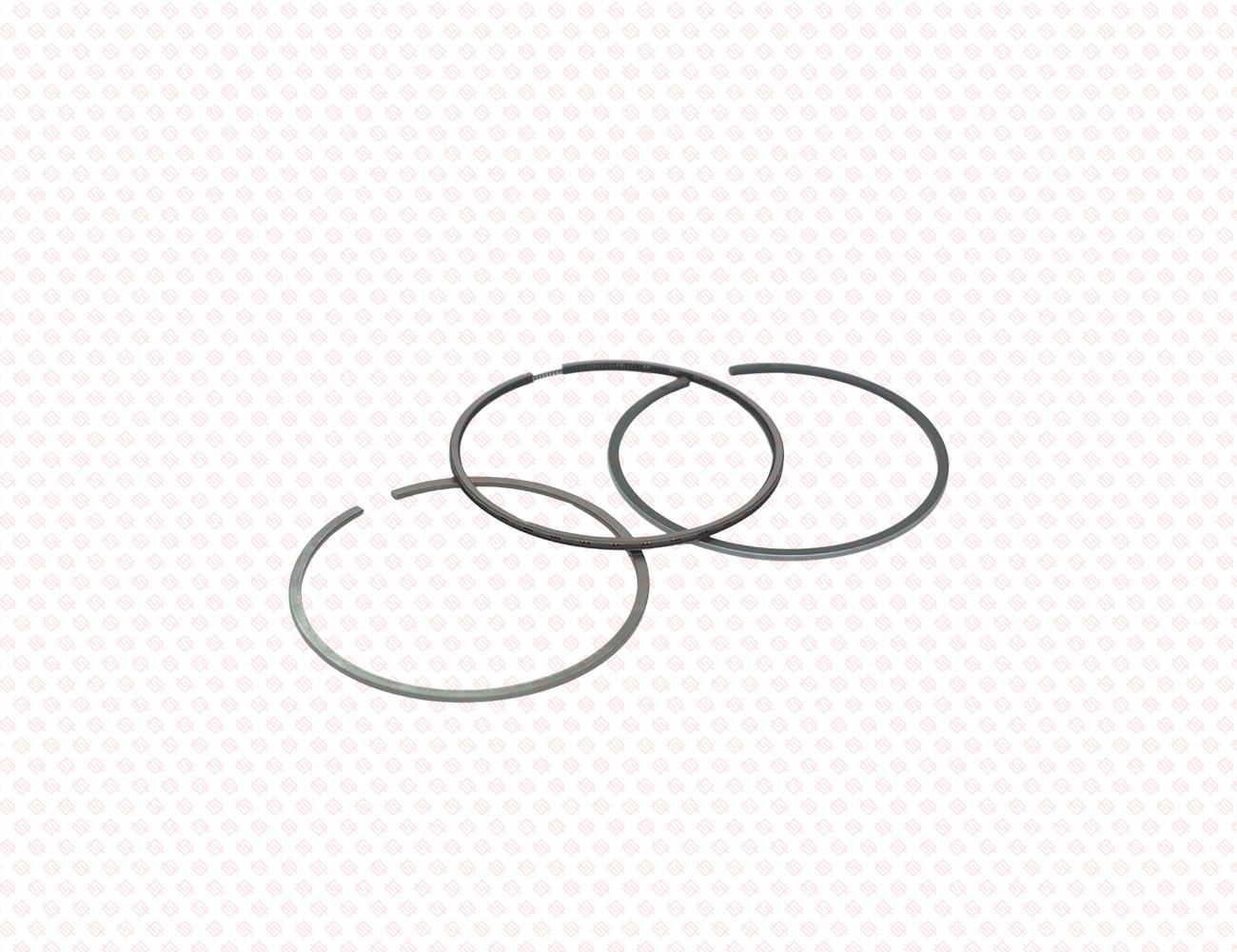 129904-22950-SS-2