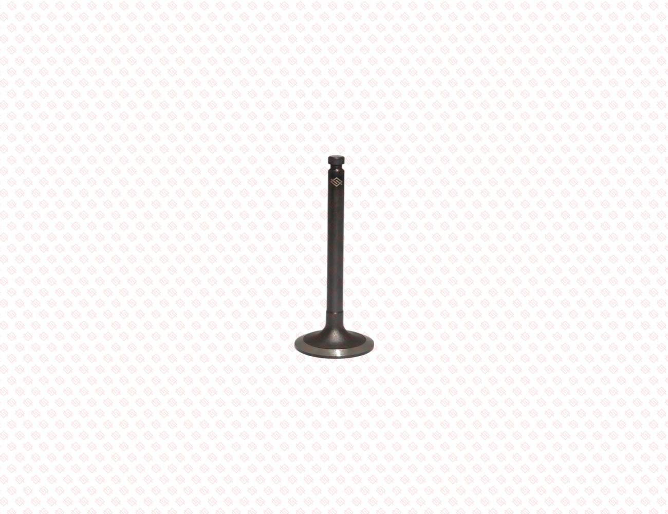 129907-11100-SS-3
