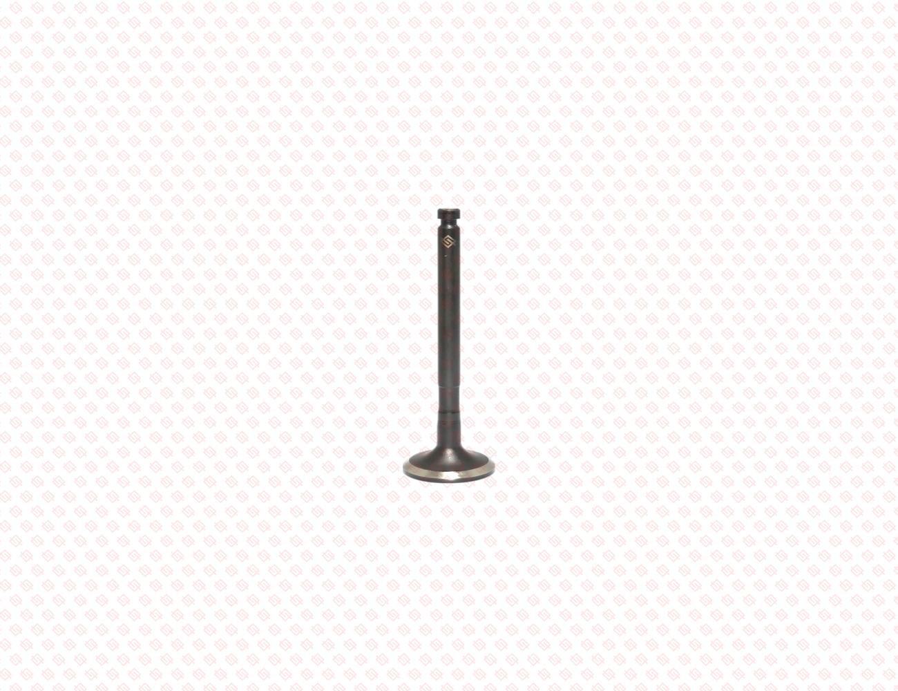 129907-11110-SS-3