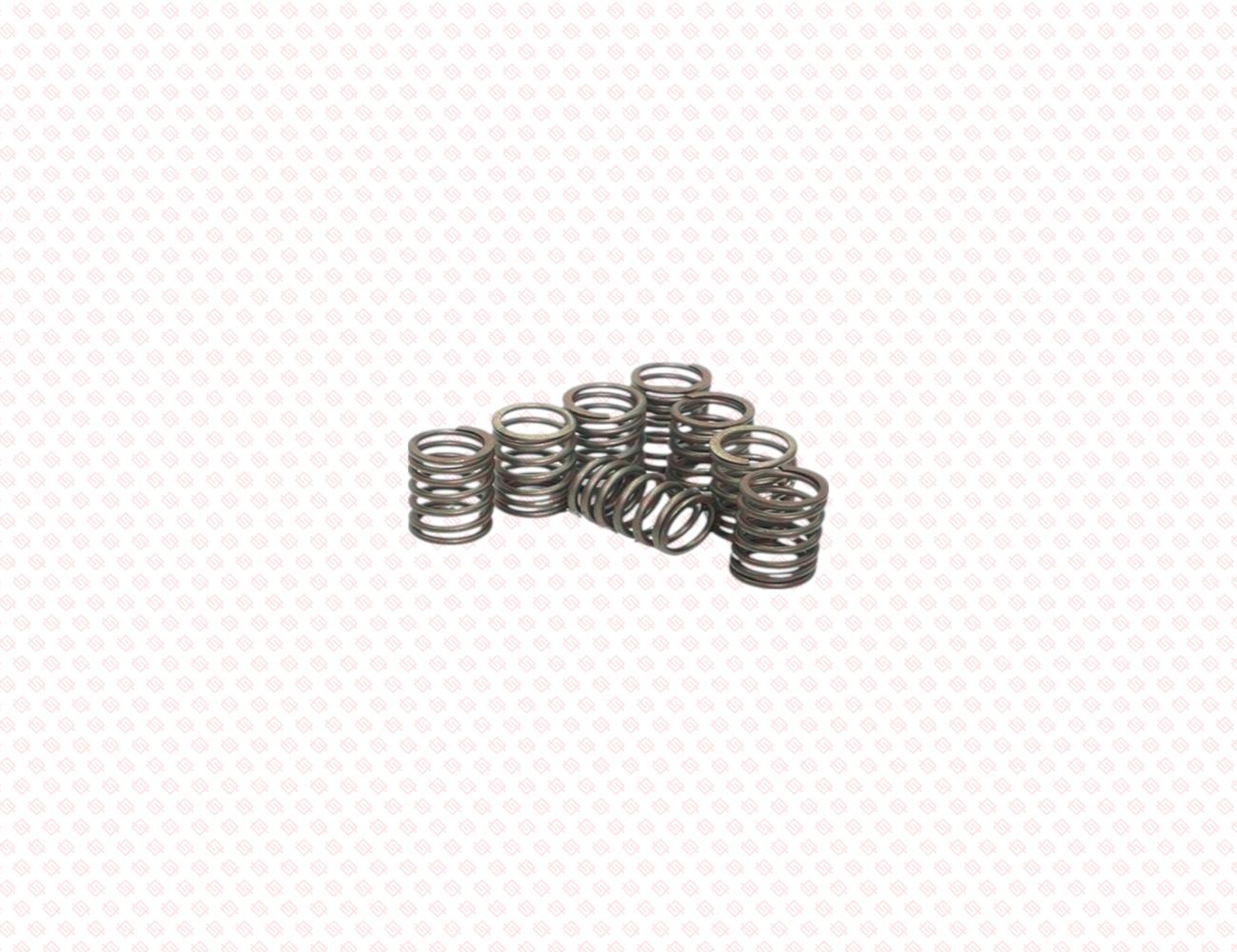 129907-11120-SS-1