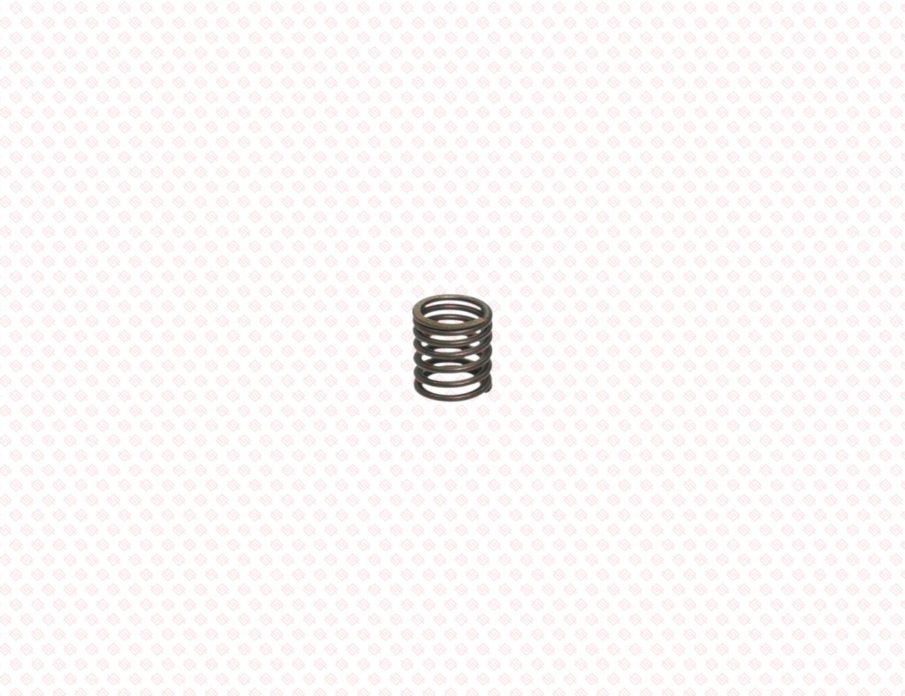 129907-11120-SS-4