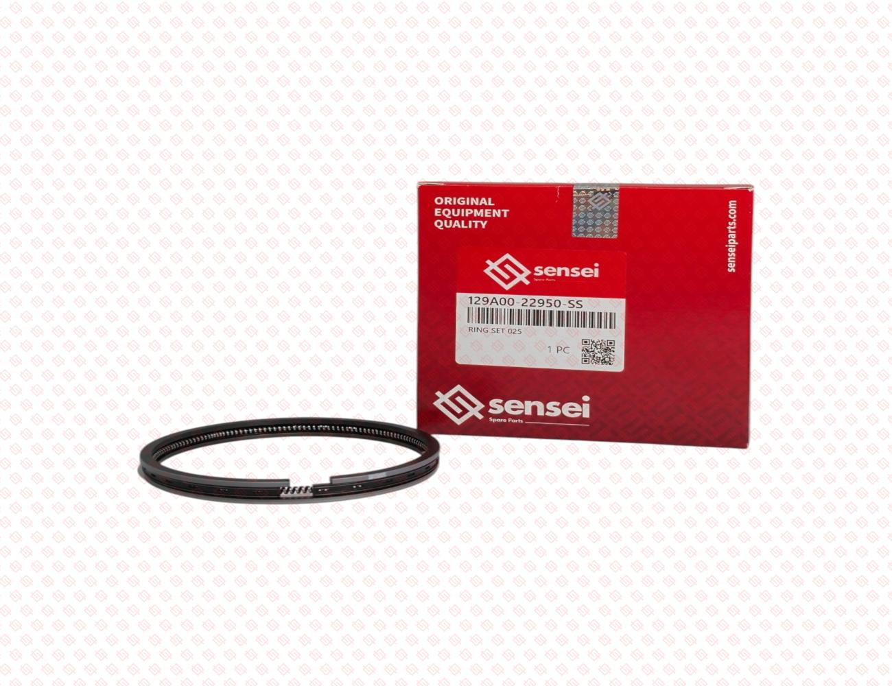 129A00-22950-SS-3